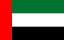 Electronic Invoicing in United Arab Emirates